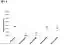 Fig. 09 - Amplicon Expression Vector Vaccines