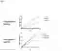 Fig. 12 - Amplicon Expression Vector Vaccines