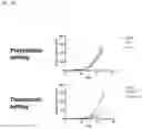 Fig. 14 - Amplicon Expression Vector Vaccines