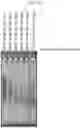 Fig. 11 - DNA PRODUCTION METHOD AND DNA FRAGMENT-JOINING KIT