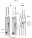 Fig. 23 - DNA PRODUCTION METHOD AND DNA FRAGMENT-JOINING KIT