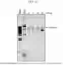 Fig. 24 - DNA PRODUCTION METHOD AND DNA FRAGMENT-JOINING KIT