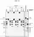 Fig. 25 - DNA PRODUCTION METHOD AND DNA FRAGMENT-JOINING KIT