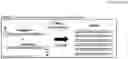 Fig. 03 - COPI COATOMER ALPHA SUBUNIT NUCLEIC ACID MOLECULES THAT CONFER RESISTANCE TO COLEOPTERAN AND HEMIPTERAN PESTS