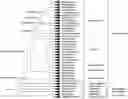 Fig. 01 - INSECTICIDAL PROTEINS AND METHODS FOR THEIR USE
