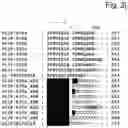 Fig. 12 - INSECTICIDAL PROTEINS AND METHODS FOR THEIR USE