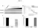 Fig. 23 - INSECTICIDAL PROTEINS AND METHODS FOR THEIR USE