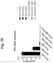 Fig. 35 - ENCAPSULATED POLYNUCLEOTIDES AND METHODS OF USE