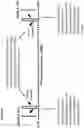 Fig. 40 - ENCAPSULATED POLYNUCLEOTIDES AND METHODS OF USE