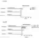 Fig. 06 - GENOME EDITING METHOD