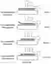 Fig. 03 - Using RNA-guided FokI nucleases (RFNs) to increase specificity for RNA-guided genome editing