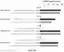 Fig. 09 - Using RNA-guided FokI nucleases (RFNs) to increase specificity for RNA-guided genome editing