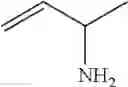 Fig. 97 - Method for preparing amines from aldehydes and ketones by biocatalysis