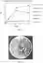 Fig. 02 - Symbiotic fermentation of and and applications thereof