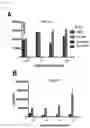 Fig. 03 - RNA templated ligation