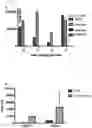 Fig. 06 - RNA templated ligation