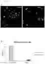 Fig. 11 - RNA templated ligation