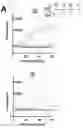 Fig. 26 - RNA templated ligation