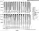 Fig. 01 - Methods of treating glioblastoma in a subject informed by exosomal RNA signatures