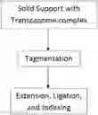 Fig. 01 - Complex surface-bound transposome complexes