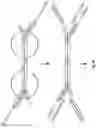 Fig. 06 - Complex surface-bound transposome complexes