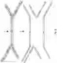 Fig. 07 - Complex surface-bound transposome complexes