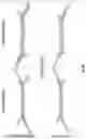 Fig. 09 - Complex surface-bound transposome complexes