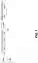 Fig. 02 - Polymerase chain reaction normalization through primer titration
