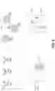 Fig. 07 - Polymerase chain reaction normalization through primer titration