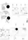 Fig. 08 - Polymerase chain reaction normalization through primer titration