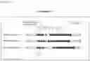 Fig. 04 - HIGHLY POLYMORPHIC AND MODULAR EXTRAGENIC (H.P.M.E.) MARKERS WITHIN SPECIFIC TAXA OF MICROORGANISMS AND USE THEREOF FOR THEIR DIFFERENTIATION, IDENTIFICATION AND QUANTIFICATION