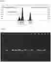 Fig. 07 - HIGHLY POLYMORPHIC AND MODULAR EXTRAGENIC (H.P.M.E.) MARKERS WITHIN SPECIFIC TAXA OF MICROORGANISMS AND USE THEREOF FOR THEIR DIFFERENTIATION, IDENTIFICATION AND QUANTIFICATION
