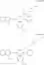 Fig. 95 - RNA Quality Assay