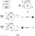 Fig. 06 - Antisense fingerloop DNAs and uses thereof