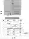 Fig. 13 - Antisense fingerloop DNAs and uses thereof