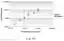 Fig. 16 - Systems and methods to detect rare mutations and copy number variation