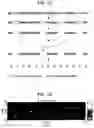 Fig. 02 - Compositions and Methods for Analyzing Immobilized Nucleic Acids