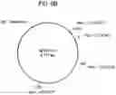 Fig. 07 - Compositions and Methods for Analyzing Immobilized Nucleic Acids