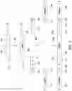 Fig. 04 - Spatially encoded biological assays