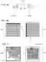 Fig. 05 - Spatially encoded biological assays