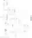 Fig. 13 - BIS-BIOTINYLATION TAGS