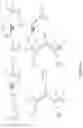 Fig. 17 - BIS-BIOTINYLATION TAGS