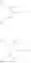 Fig. 23 - BIS-BIOTINYLATION TAGS
