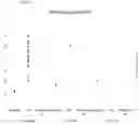 Fig. 03 - METHOD FOR SUPPRESSING NON-SPECIFIC AMPLIFICATION PRODUCTS IN NUCLEIC ACID AMPLIFICATION TECHNOLOGIES