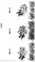 Fig. 02 - Method of improving the movement of a target polynucleotide with respect to a transmembrane pore