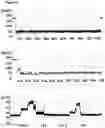 Fig. 10 - Method of improving the movement of a target polynucleotide with respect to a transmembrane pore