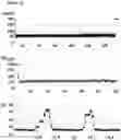 Fig. 13 - Method of improving the movement of a target polynucleotide with respect to a transmembrane pore