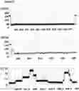 Fig. 16 - Method of improving the movement of a target polynucleotide with respect to a transmembrane pore