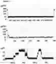 Fig. 18 - Method of improving the movement of a target polynucleotide with respect to a transmembrane pore