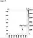 Fig. 26 - Method of improving the movement of a target polynucleotide with respect to a transmembrane pore